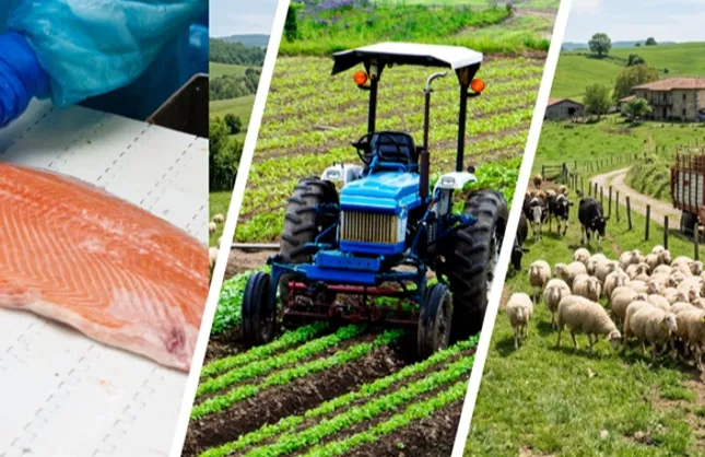 YENİ AÇIKLAMA GELDİ... 241 MİLYON AVROLUK DEV HİBE