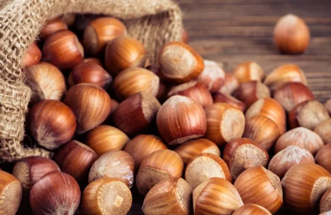 TMO'DAN FINDIK AÇIKLAMASI