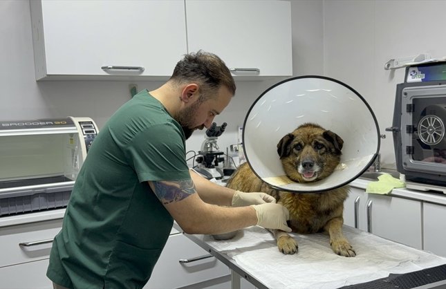 HAVLADIĞI GEREKÇESİYLE SİLAHLA VURULMUŞTU!