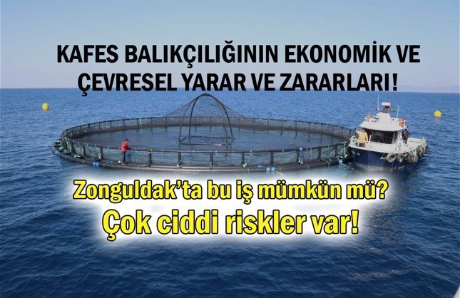 YAPAY ZEKAYA SORDUK...