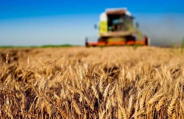 BÜYÜK DESTEK... 30 MİLYON TL'YE KADAR HİBE!