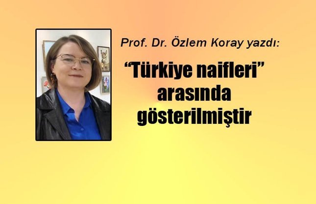 HİÇBİR KURALA BAĞLI KALMAMALI