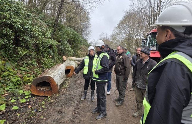 KANDİLLİ VE ORMANLI'DA KAPSAMLI İNCELEME