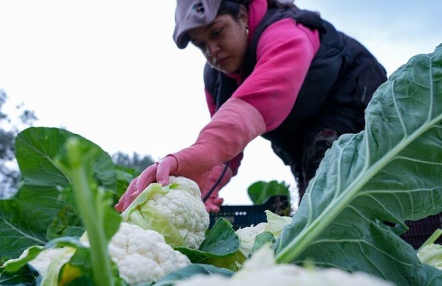 19,5 MİLYAR LİRA ÖDENECEK!