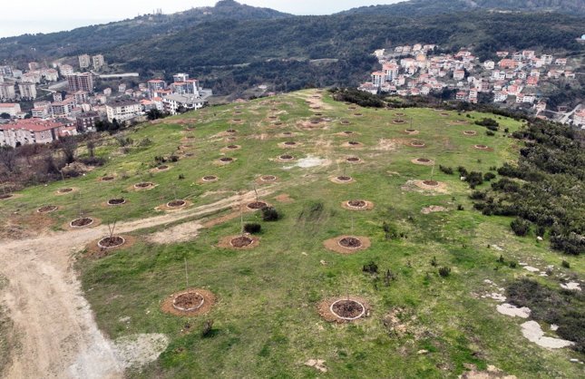 EREĞLİ'YE YENİ YAŞAM ALANI