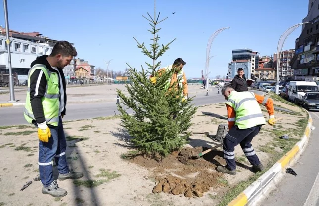 YEŞİL ALANLAR GÜÇLENİYOR