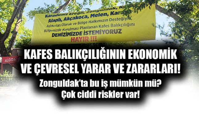 YAPAY ZEKAYA SORDUK: