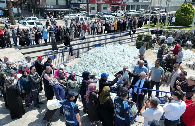 350 BİN ATA TOHUMU FİDESİ DAĞITILDI