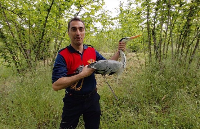 YARALI HALDE BULUNDU, TEDAVİ ALTINA ALINDI