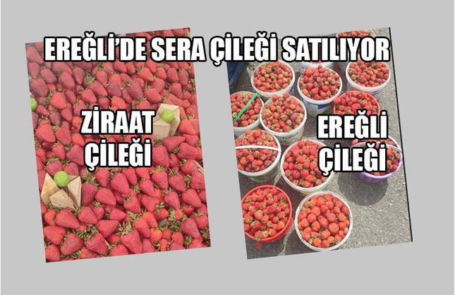 EREĞLİ ÇİLEĞİNİ 250’E BULURSANIZ ALIN