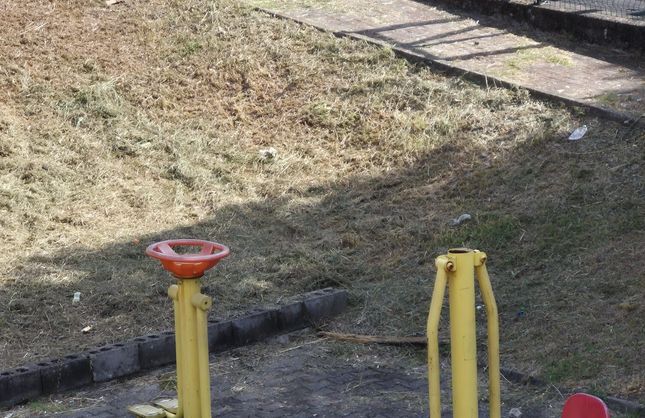 HERŞEY AİLEDEN BAŞLAR