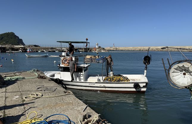 50 TON PALAMUTLA DÖNDÜLER