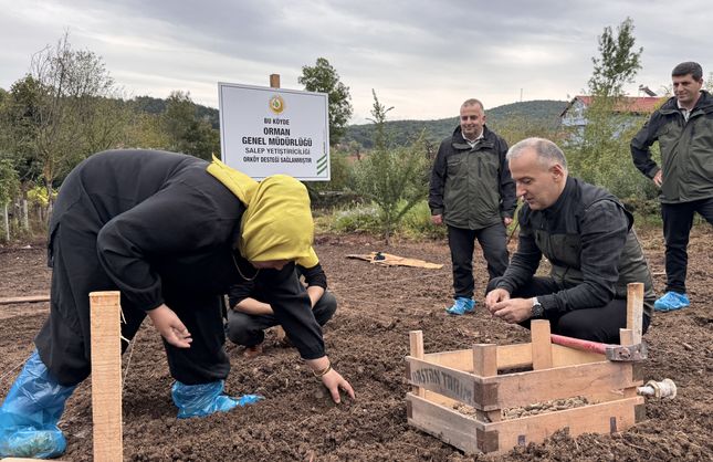 ORKÖY DESTEĞİYLE SALEP ÜRETECEKLER