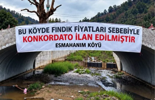 ÜRETİCİDEN FINDIK FİYATI TEPKİSİ