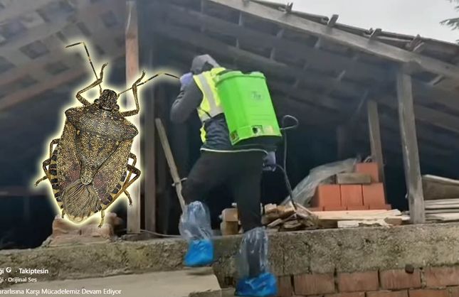 55 BİNİN ÜZERİNDE YAPI İLAÇLANDI!