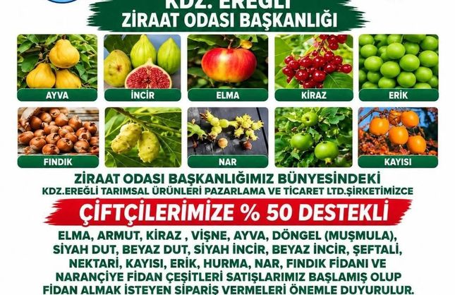 YÜZDE 50'Sİ DESTEKLİ FİDE...