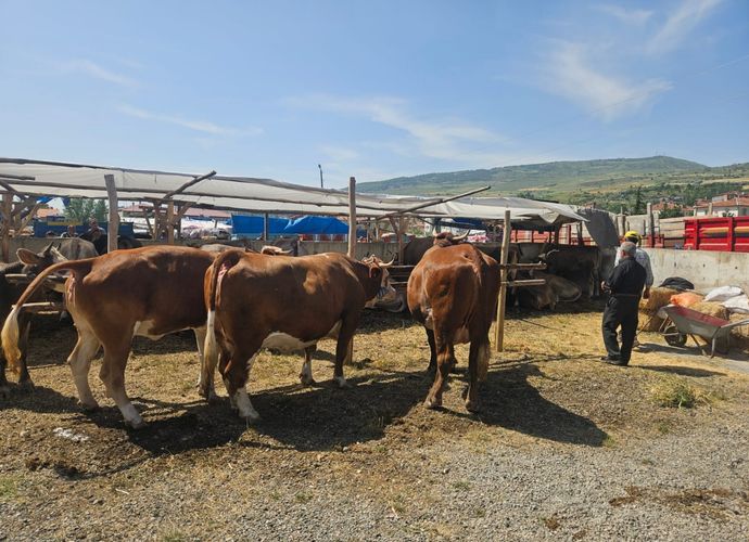 VEKALETLE KURBAN BEDELLERİ AÇIKLANDI