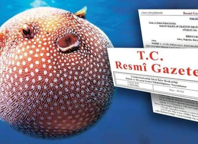 ÖDEMELER ARTIYOR...