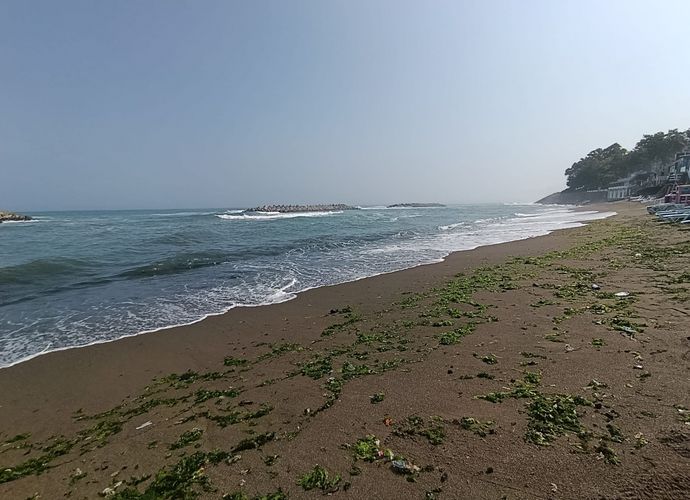 DENİZE GİRİŞE İZİN YOK!