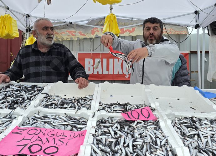 TEZGAHLARDA HAMSİ BOLLUĞU...
