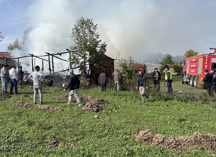 YANGIN, 36 ARI KOVANI ZARAR GÖRDÜ