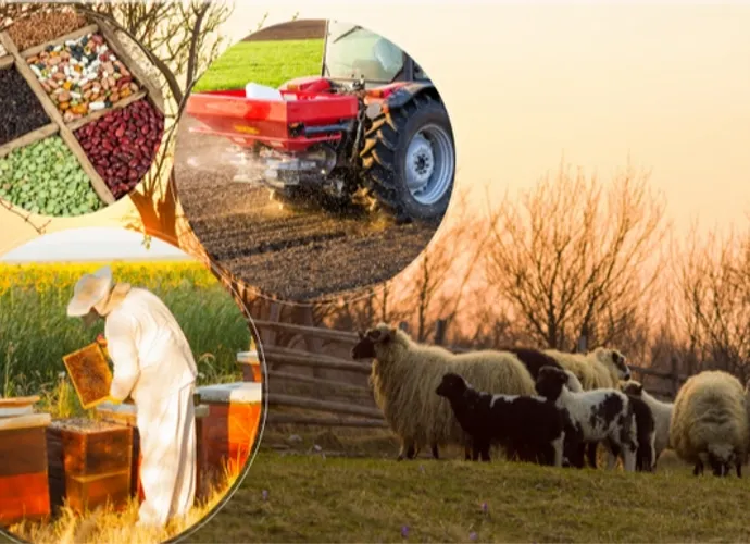 2 MİLYAR TL'LİK DESTEK HESAPLARDA