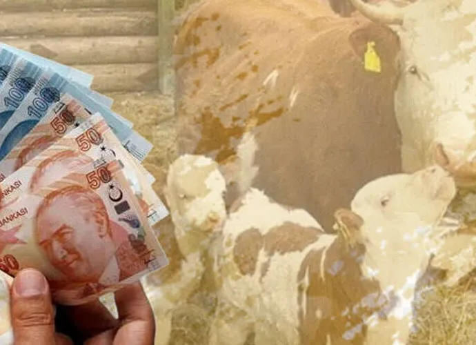 ÇİFTÇİLERE 226 MİLYON TL