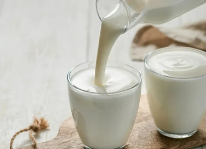 930 BİN TONUN ÜZERİNDE SÜT TOPLANDI