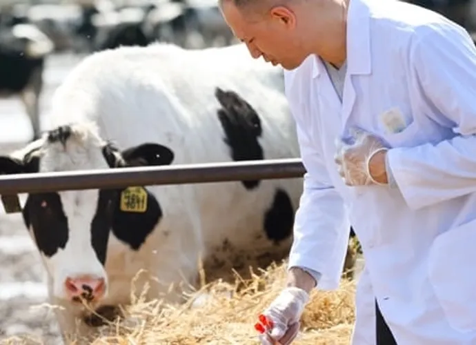 VETERİNER HARCAMALARI ZİRVEDE