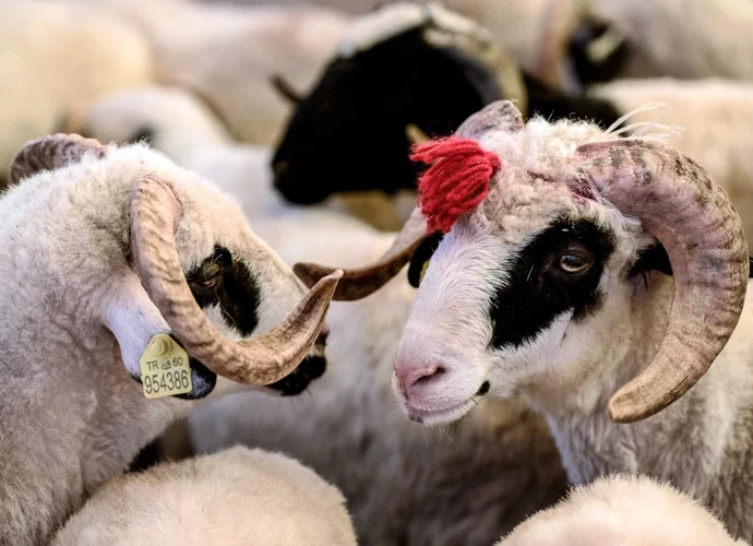 ÜCRETLER BELLİ OLDU