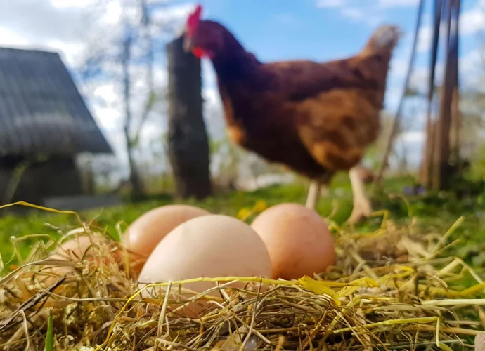 ÜRETİMDE DÜŞÜŞ VAR!