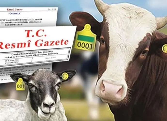 RESMİ GAZETE'DE YAYIMLANDI, KAREKOD GELİYOR