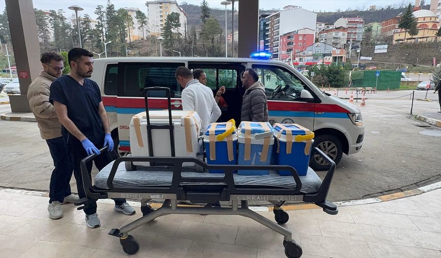 Giresun'da beyin ölümü gerçekleşen tiyatro sanatçısının organları 4 kişiye umut oldu