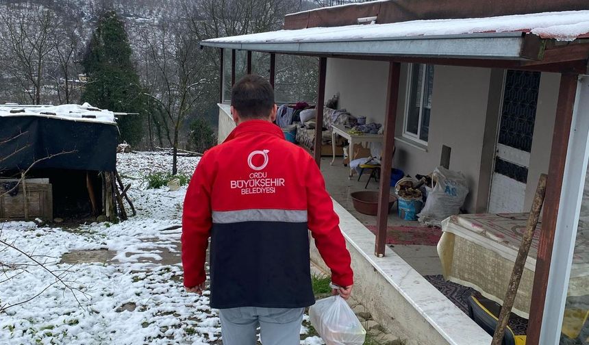 Karadeniz'de kar hayatı olumsuz etkiledi