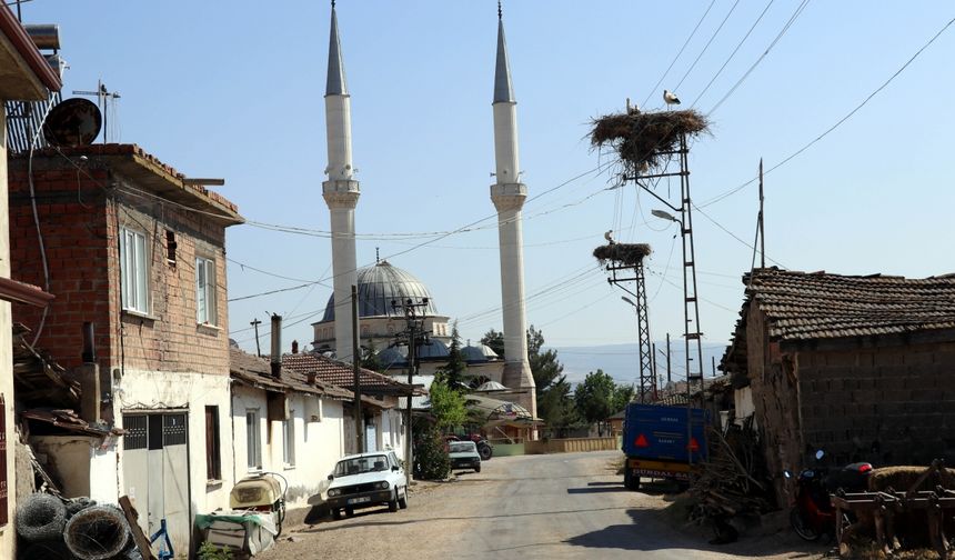 Amasya'nın "Leylekli köyü" bu yıl da özel misafirlerini ağırlıyor