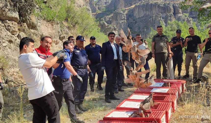 Bolu'da 600 kınalı keklik doğaya bırakıldı