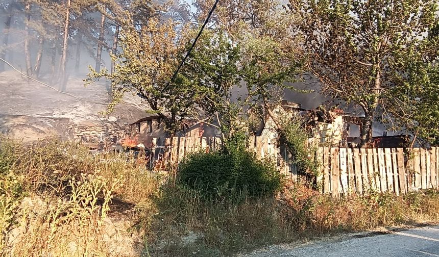 Bolu'nun Mudurnu ilçesinde ormanlık alanda yangın çıktı