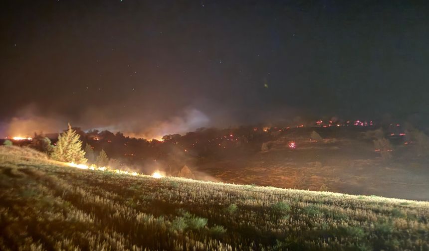 Çorum'da tarlada çıkan ve ormanlık alana sıçrayan yangın söndürüldü