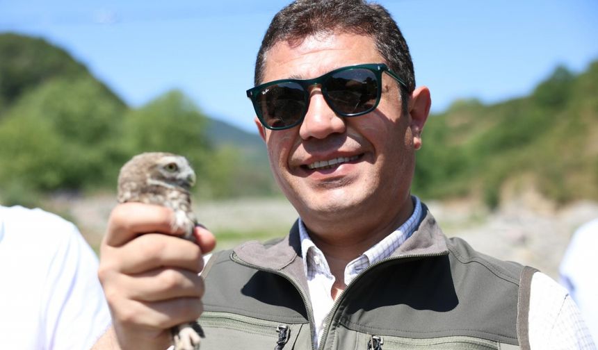 Düzce'de 5 baykuş ve 20 bin alabalık doğaya bırakıldı