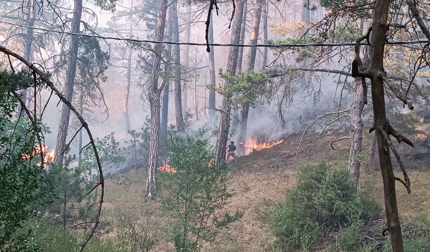 GÜNCELLEME - Bolu'nun Mudurnu ilçesinde ormanlık alanda yangın çıktı