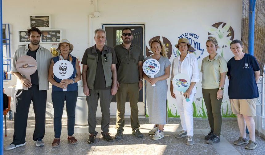 Adana Akyatan'da 20 yılda 270 bin kaplumbağa yavrusu denize ulaştı