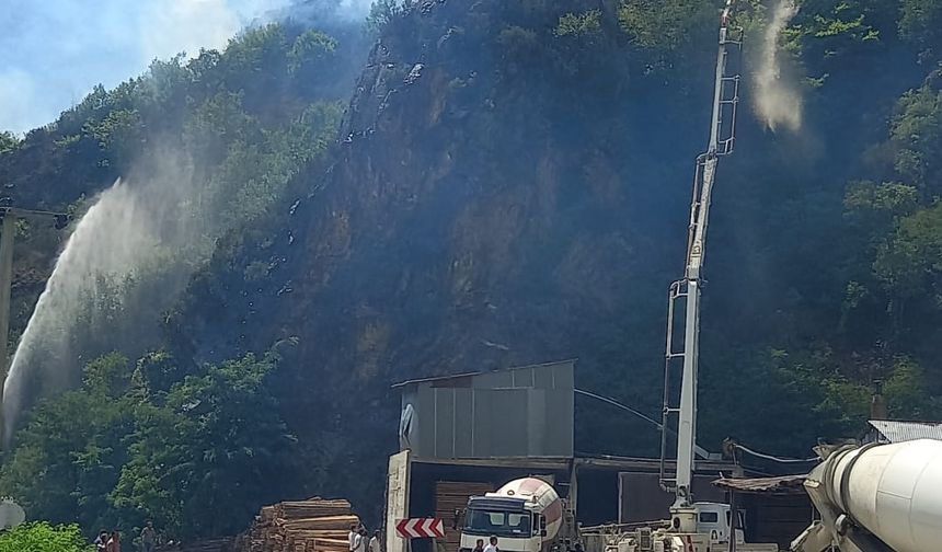Gümüşhane'de çıkan örtü yangınına müdahale ediliyor