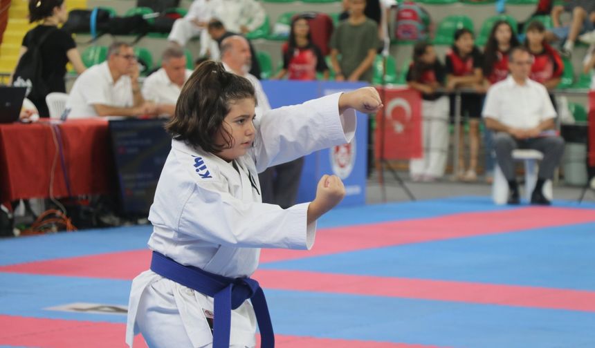 Karadeniz ve Hazar Ülkeleri Karate Şampiyonası, Rize'de başladı