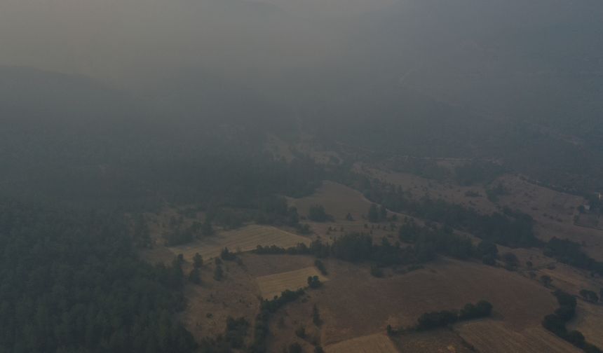 GÜNCELLEME - Kastamonu'da ormanlık alandaki 2 yangına müdahale sürüyor