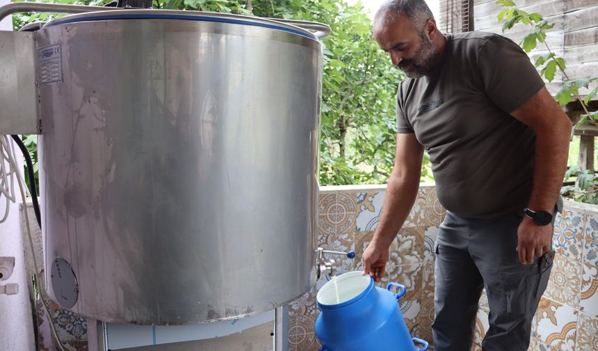 Ordu'da süt üreticisine destek verildi