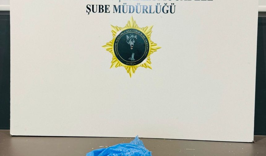 Samsun'da uyuşturucu operasyonunda 2 zanlı yakalandı