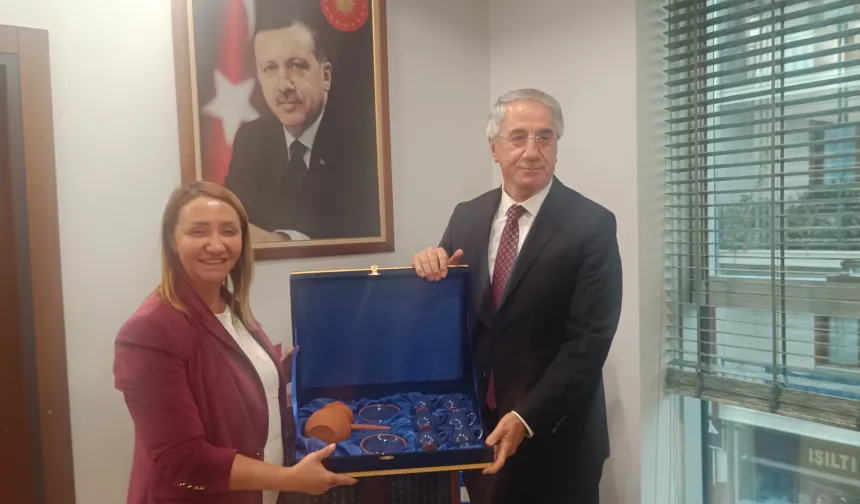 AK Parti'den Pazaryeri'ne önemli ziyaret