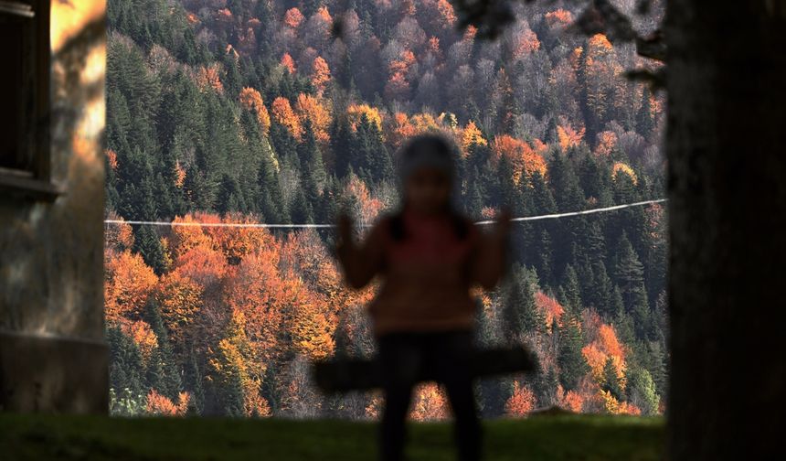 Düzce'nin Odayeri Yaylası ve Torkul Göleti, ziyaretçilerini sonbaharın renkleriyle ağırlıyor