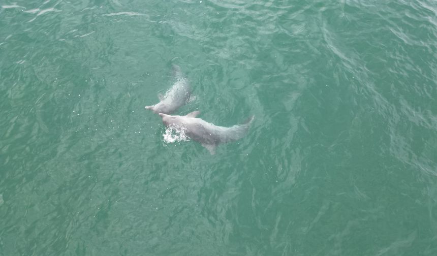 EĞLENCELİ ANLAR DRONLA GÖRÜNTÜLENDİ