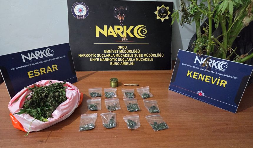 Ordu'da uyuşturucu operasyonunda gözaltına alınan 2 zanlı tutuklandı